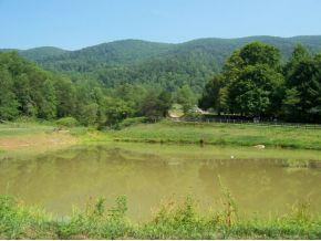 4577 Mendota Road Mendota, VA 24270 - Photo 2 of 14 Photo 2