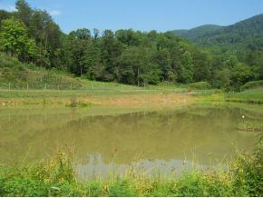 4577 Mendota Road Mendota, VA 24270 - Photo 3 of 14 Photo 3