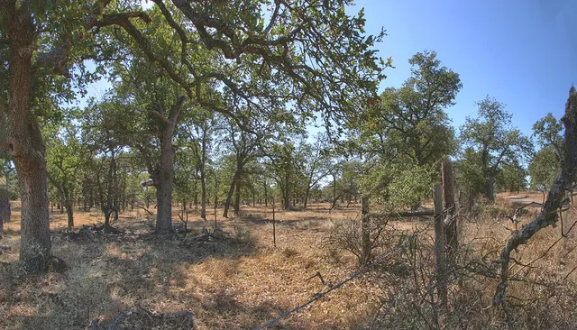 $2,225,000 | 11446 North State Highway 16, Fredericksburg, TX 78624
