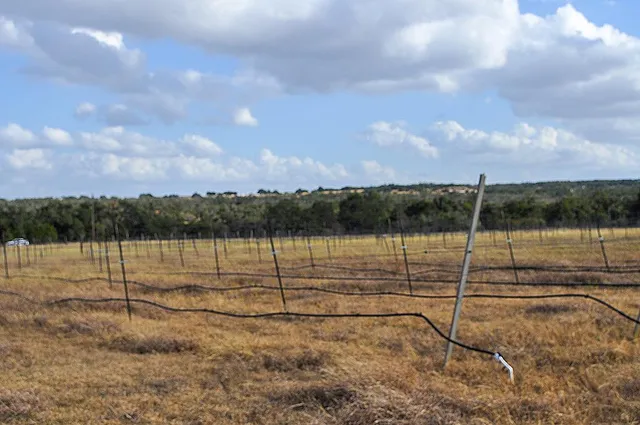 $2,225,000 | 11446 North State Highway 16, Fredericksburg, TX 78624