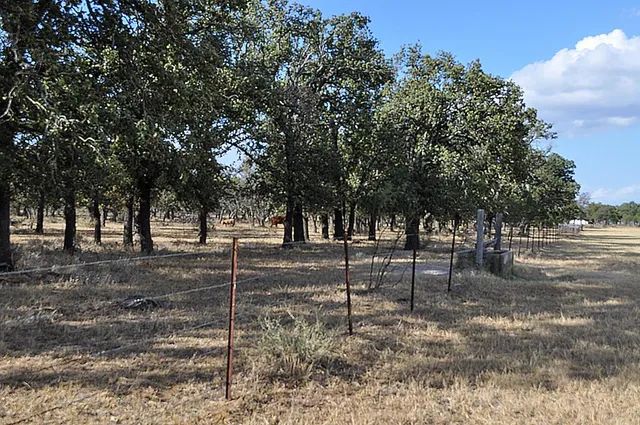 $2,225,000 | 11446 North State Highway 16, Fredericksburg, TX 78624