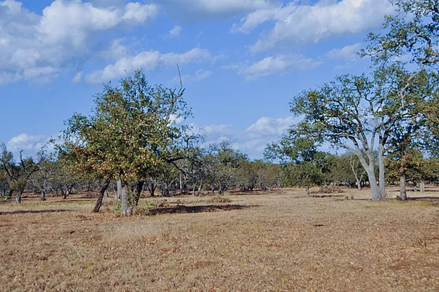 $2,225,000 | 11446 North State Highway 16, Fredericksburg, TX 78624