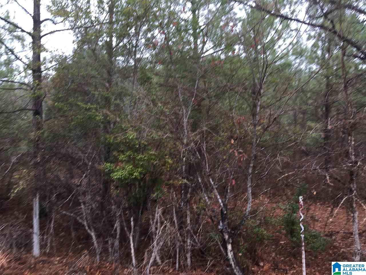 Old Choccolocco Road, Unit 97 Weaver, AL 36277 - Photo 22 of 27