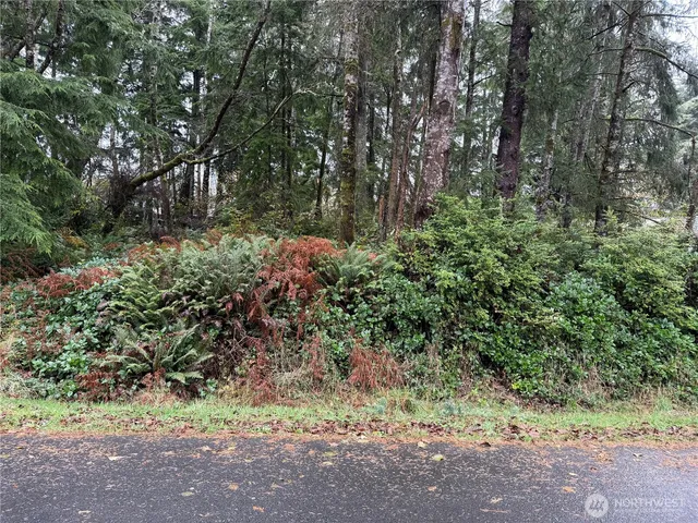 a view of a yard with plants and trees