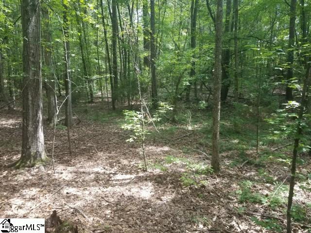 Greenpond Road Gray Court, SC 29645 - Photo 11 of 16