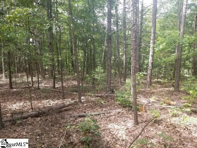 Greenpond Road Gray Court, SC 29645 - Photo 12 of 16