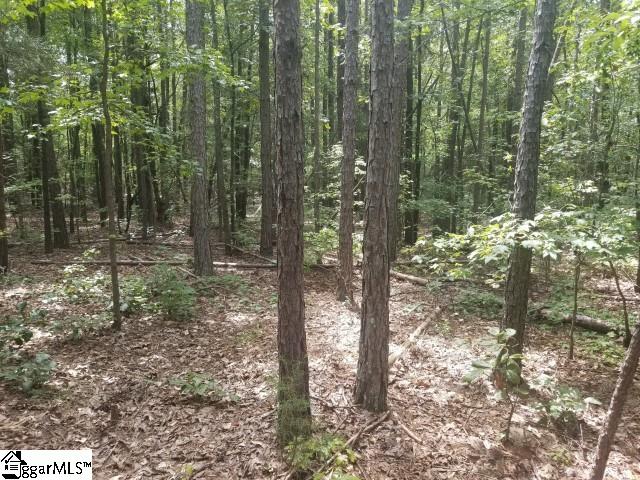 Greenpond Road Gray Court, SC 29645 - Photo 13 of 16