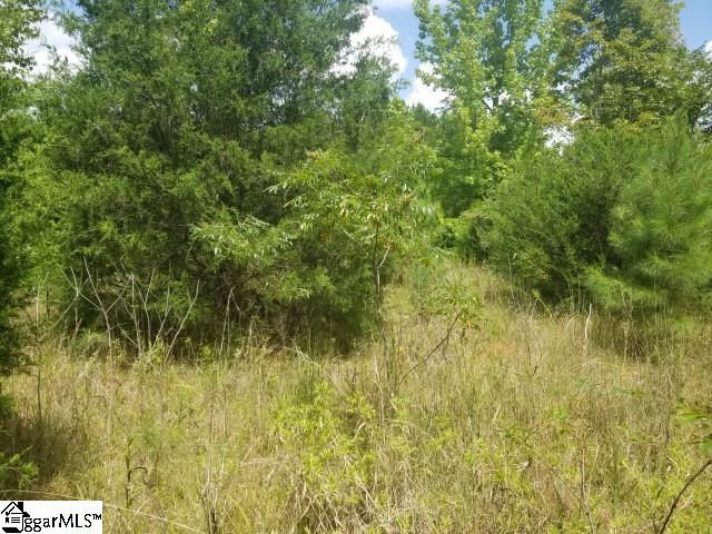 Greenpond Road Gray Court, SC 29645 - Photo 14 of 16