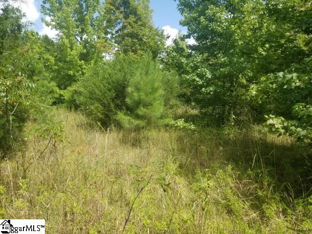 Greenpond Road Gray Court, SC 29645 - Photo 15 of 16
