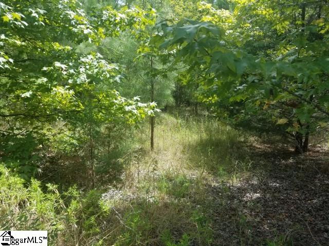 Greenpond Road Gray Court, SC 29645 - Photo 16 of 16