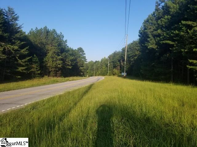Greenpond Road Gray Court, SC 29645 - Photo 3 of 16