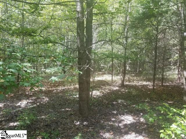 Greenpond Road Gray Court, SC 29645 - Photo 4 of 16