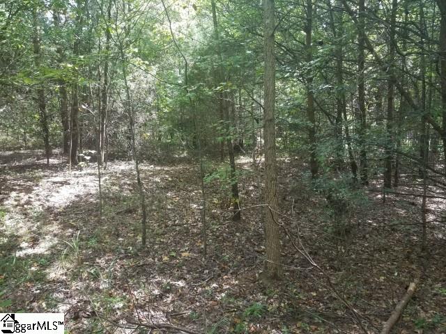 Greenpond Road Gray Court, SC 29645 - Photo 5 of 16