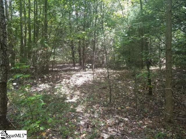 Greenpond Road Gray Court, SC 29645 - Photo 6 of 16
