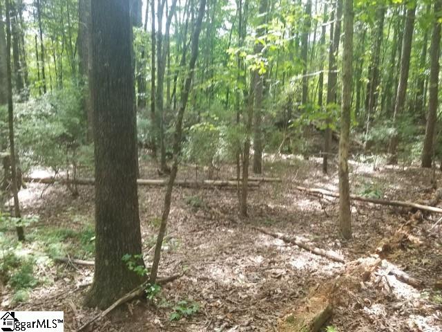 Greenpond Road Gray Court, SC 29645 - Photo 8 of 16