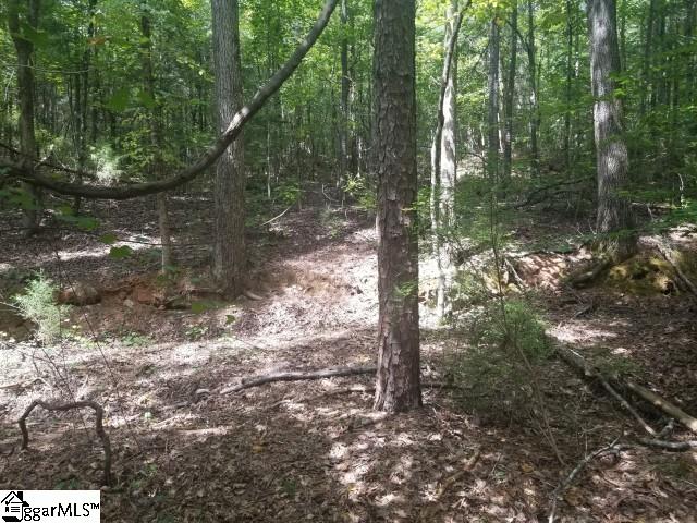 Greenpond Road Gray Court, SC 29645 - Photo 9 of 16
