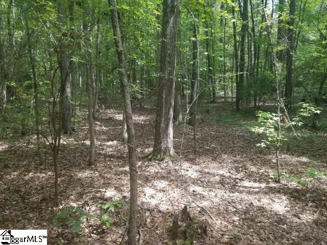Greenpond Road Gray Court, SC 29645 - Photo 10 of 16