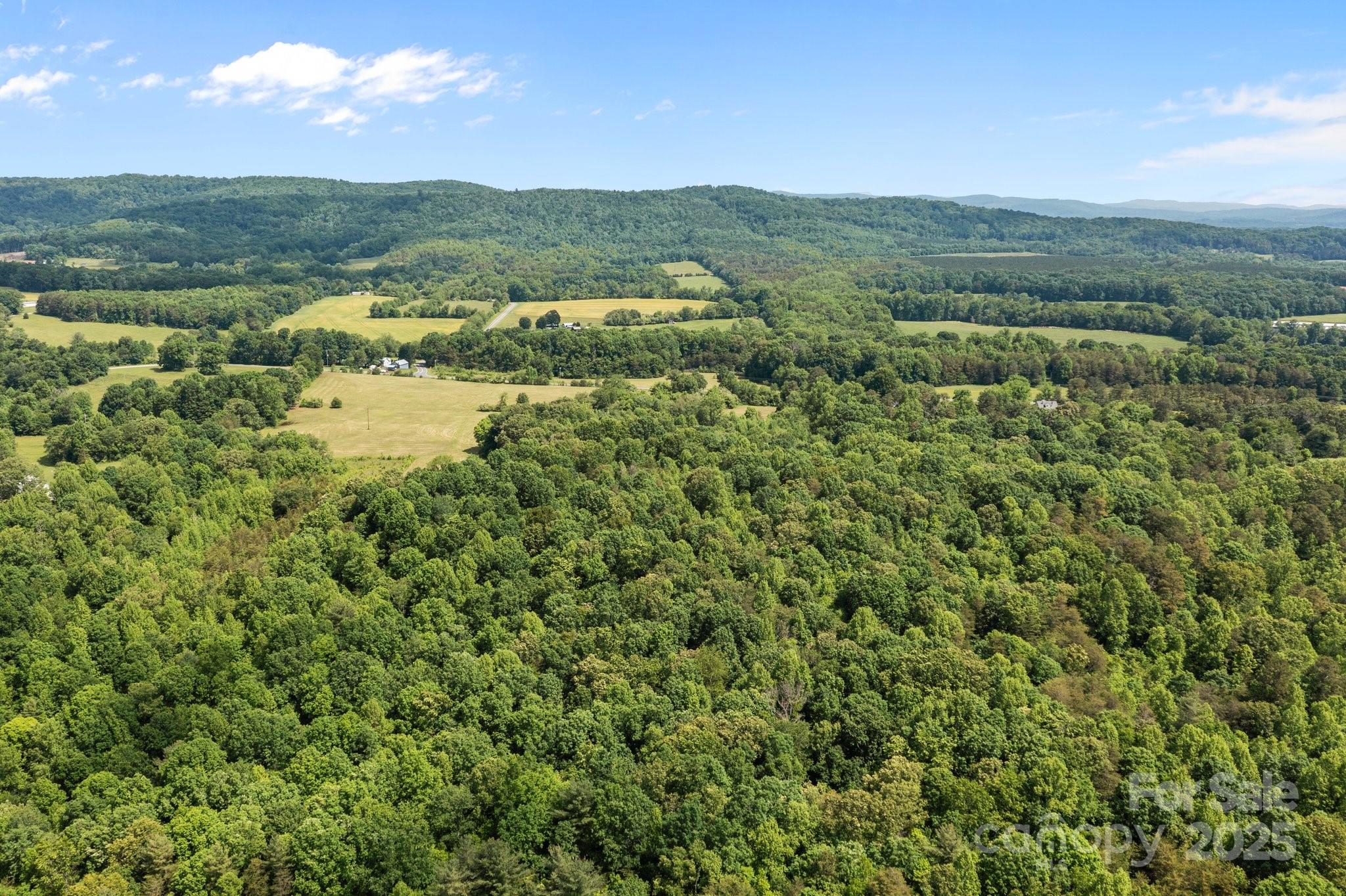 437 Linneys Mill Road Union Grove, NC 28689 - Photo 11 of 16 a view of a lush green forest with houses in the back