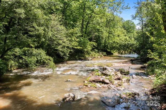 a view of a yard with plants and trees