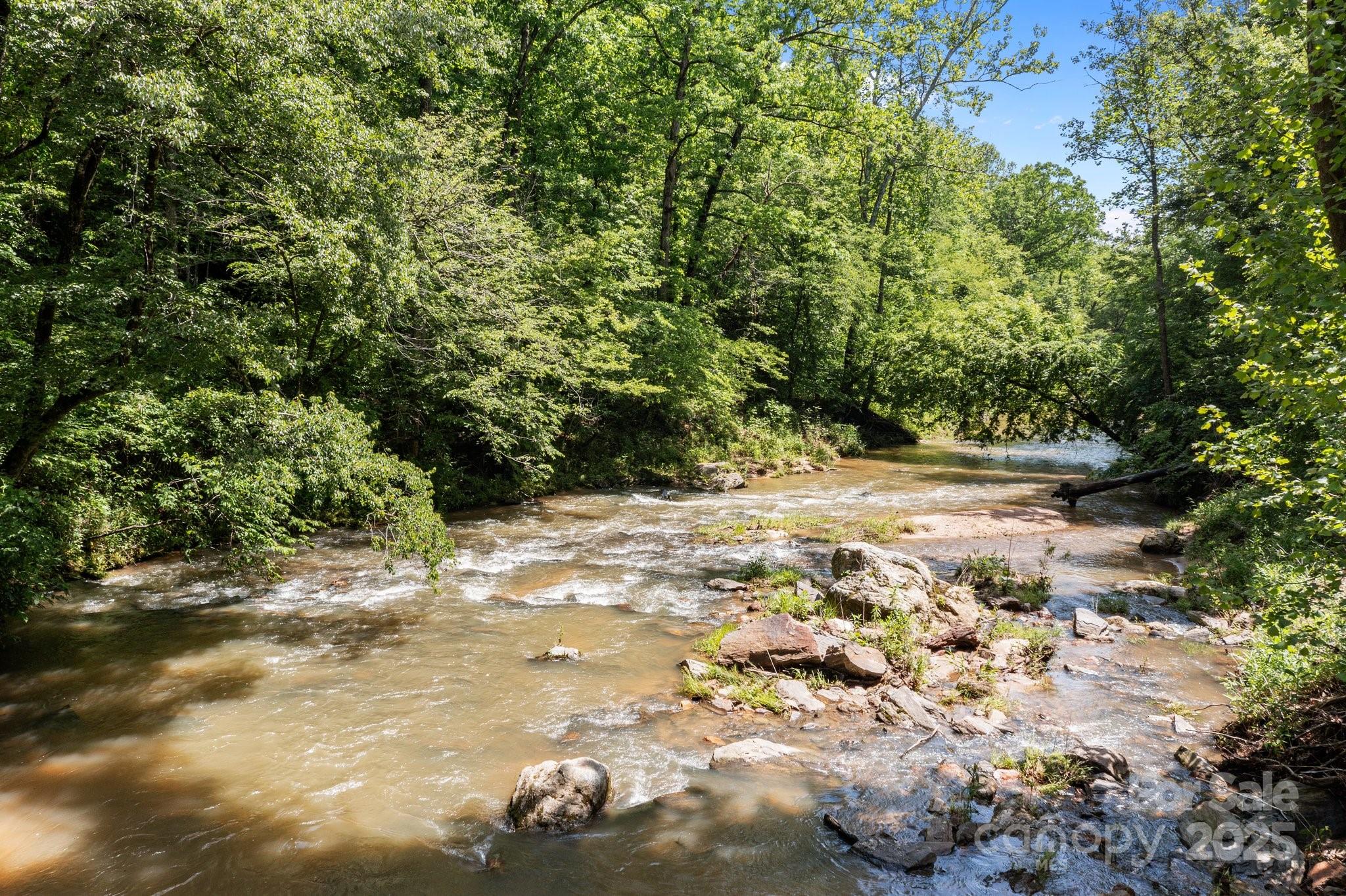 437 Linneys Mill Road Union Grove, NC 28689 - Photo 4 of 16 a view of a yard with plants and trees