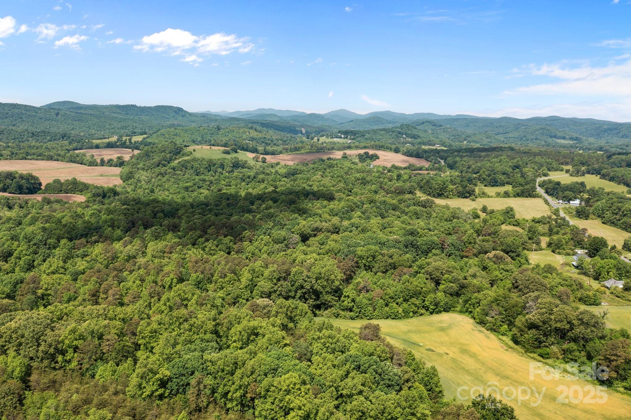 437 Linneys Mill Road Union Grove, NC 28689 - Photo 6 of 16