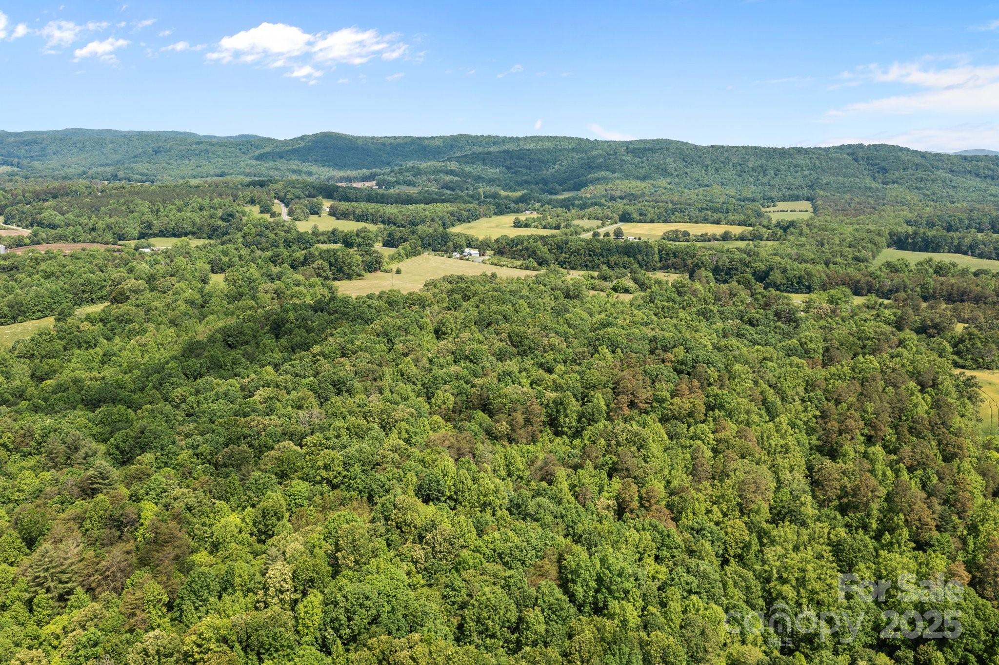 437 Linneys Mill Road Union Grove, NC 28689 - Photo 9 of 16 a view of a city with lush green forest