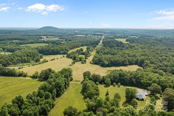 a view of a lush green forest with houses in the back