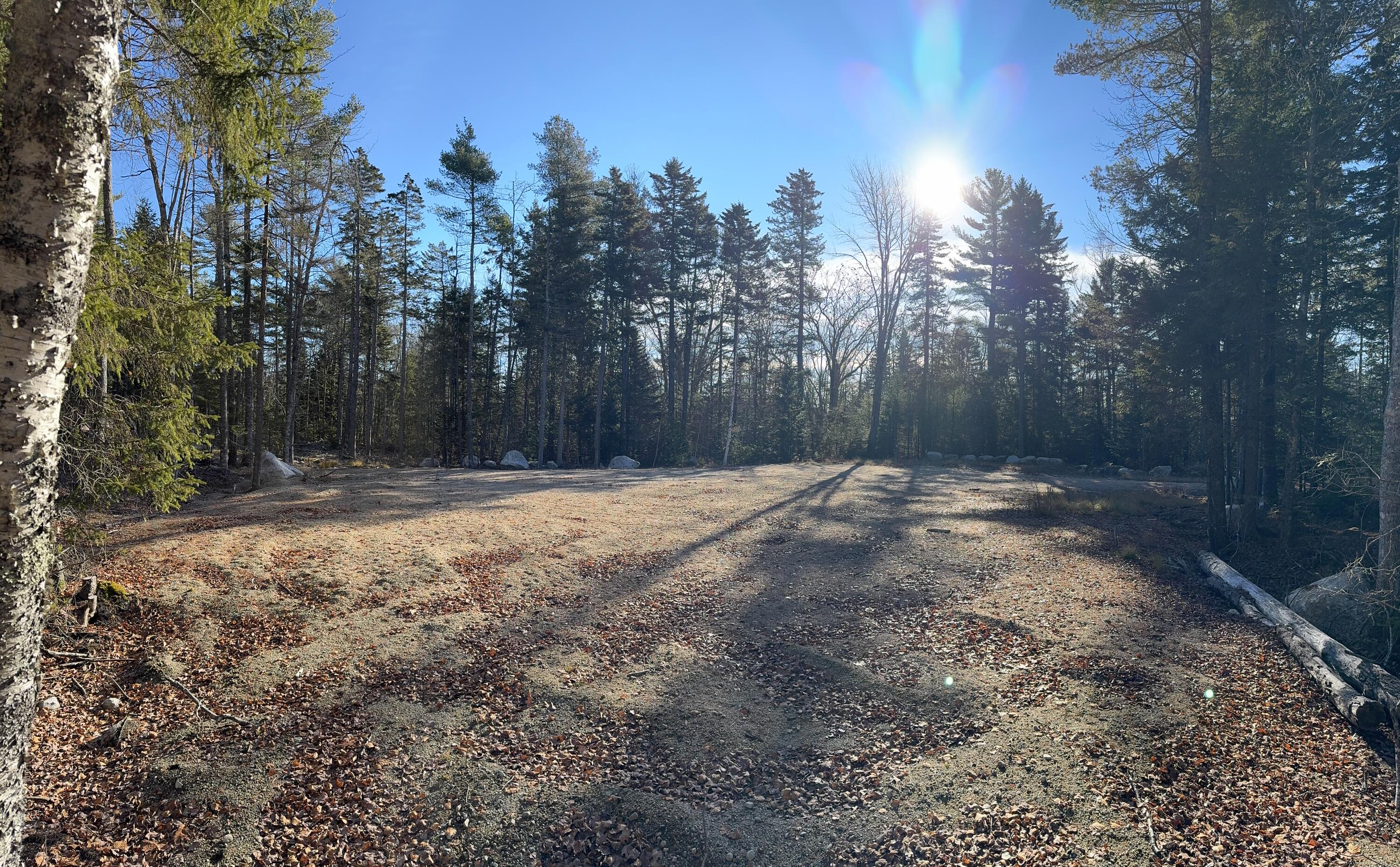 539 Sedgwick Ridge Road Sedgwick, ME 04676 - Photo 6 of 8 IMG_6250