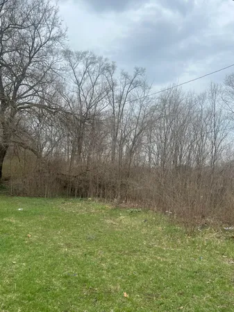 $13,000 | 1096 North Euclid Avenue, Benton Harbor, MI 49022