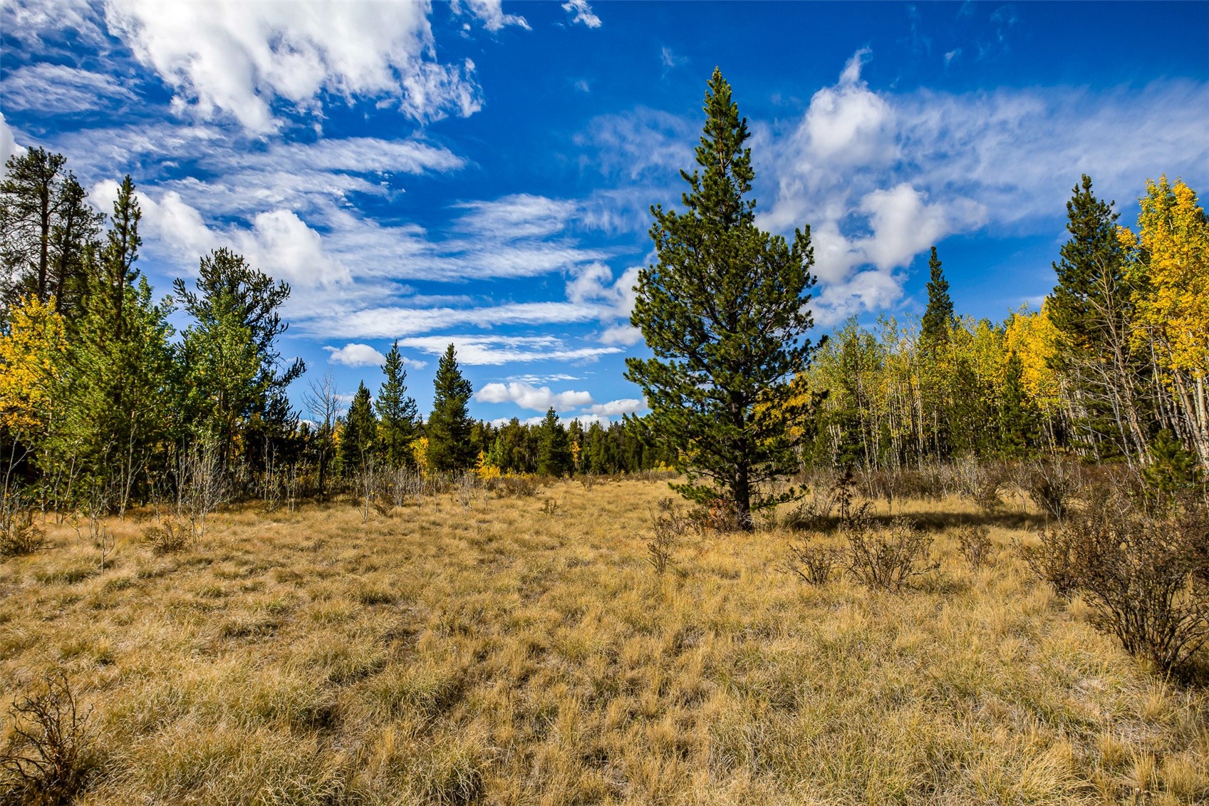660 Renshaw Road Fairplay, CO 80440 - Photo 22 of 40 Gallery Image 22