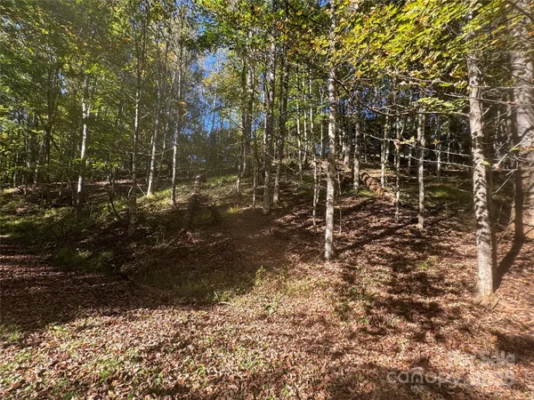 $65,000 | 9 Susanna Cove Road, Mars Hill, NC 28754