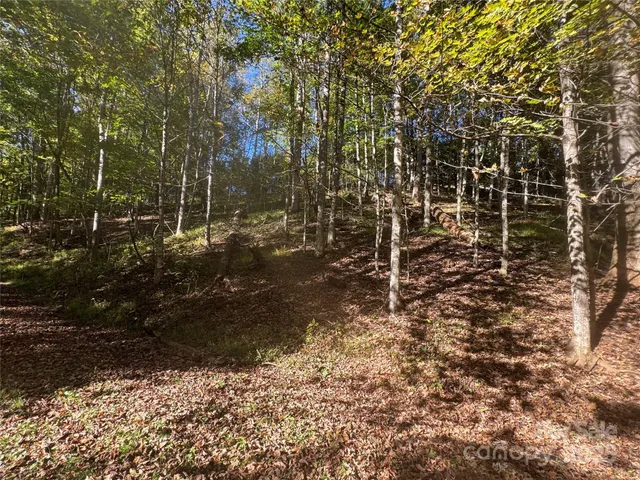 $99,000 | 9 Susanna Cove Road, Mars Hill, NC 28754