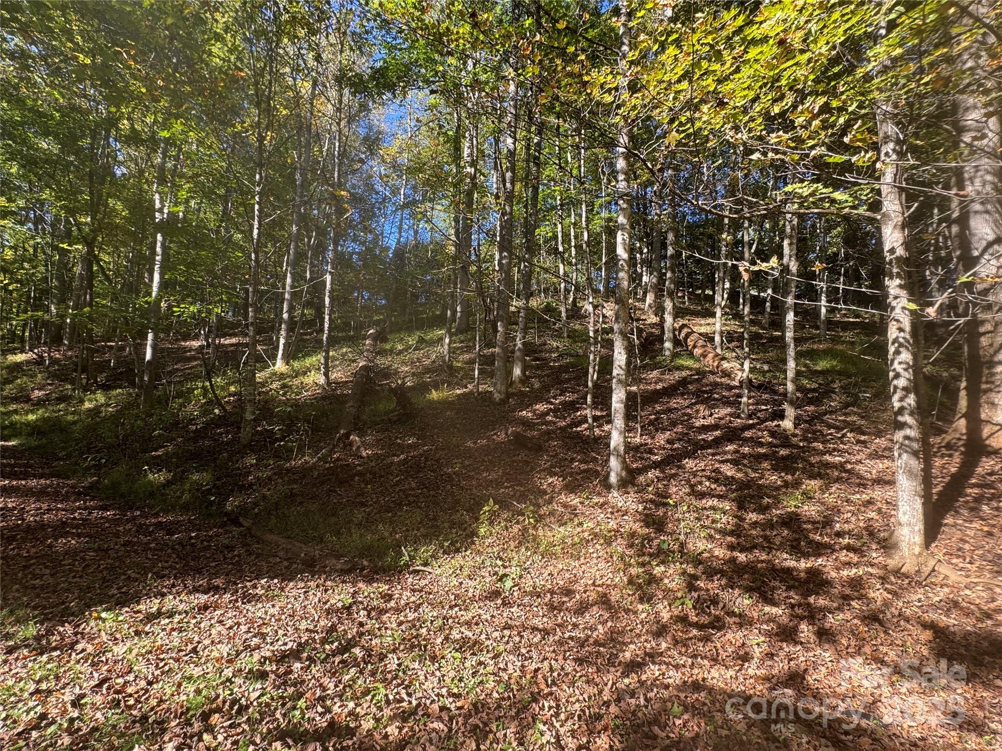 9 Susanna Cove Road Mars Hill, NC 28754 - Photo 1 of 15