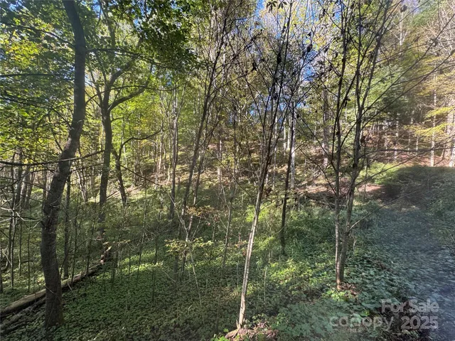 $99,000 | 9 Susanna Cove Road, Mars Hill, NC 28754