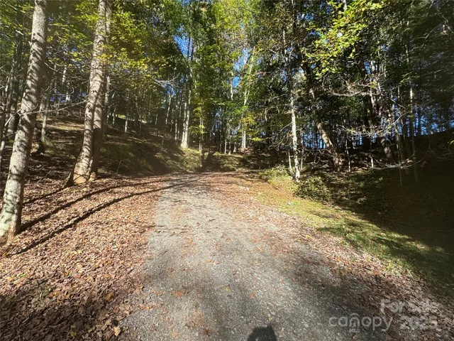 $99,000 | 9 Susanna Cove Road, Mars Hill, NC 28754