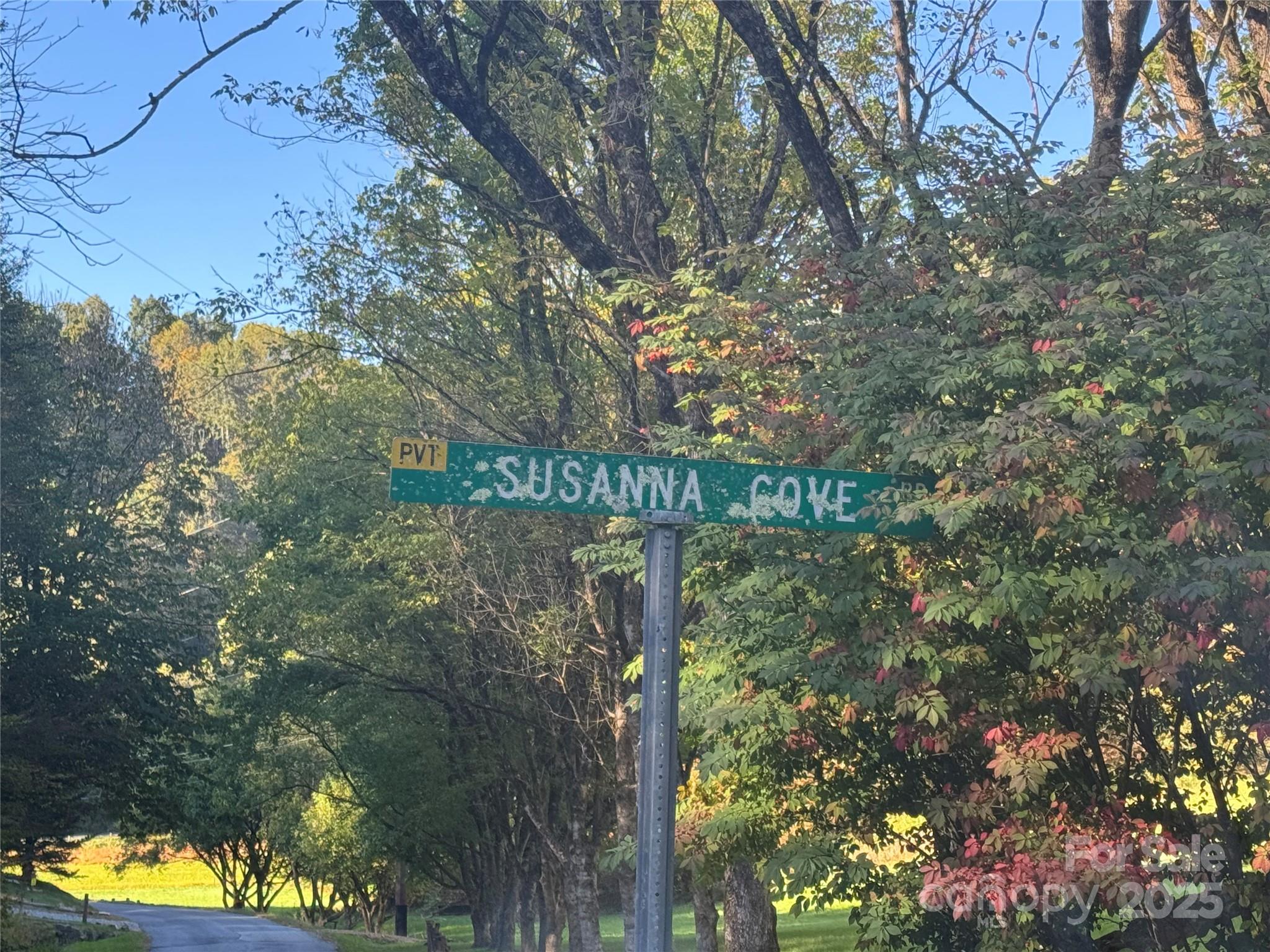 9 Susanna Cove Road Mars Hill, NC 28754 - Photo 14 of 15