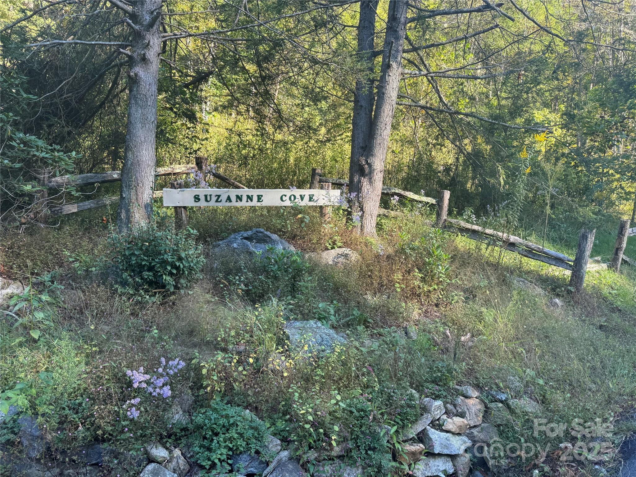 9 Susanna Cove Road Mars Hill, NC 28754 - Photo 15 of 15