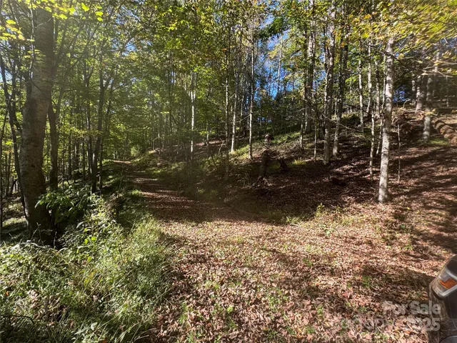 $99,000 | 9 Susanna Cove Road, Mars Hill, NC 28754
