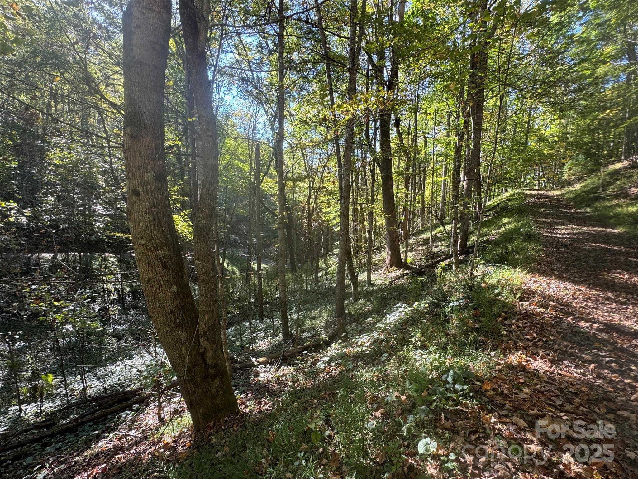 9 Susanna Cove Road Mars Hill, NC 28754 - Photo 3 of 15
