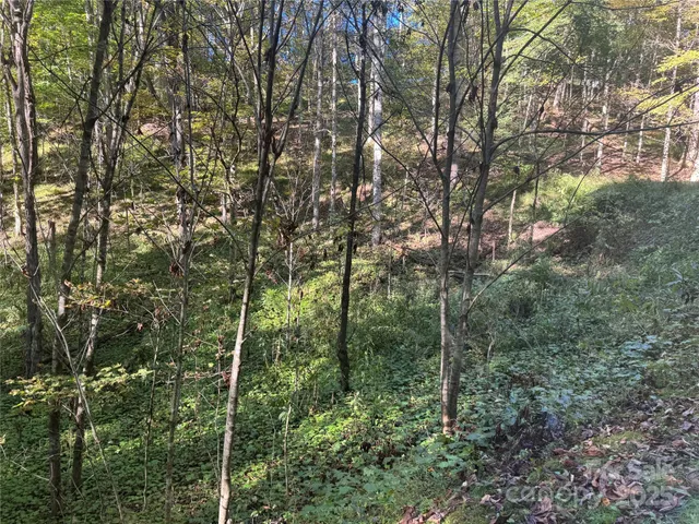 $99,000 | 9 Susanna Cove Road, Mars Hill, NC 28754