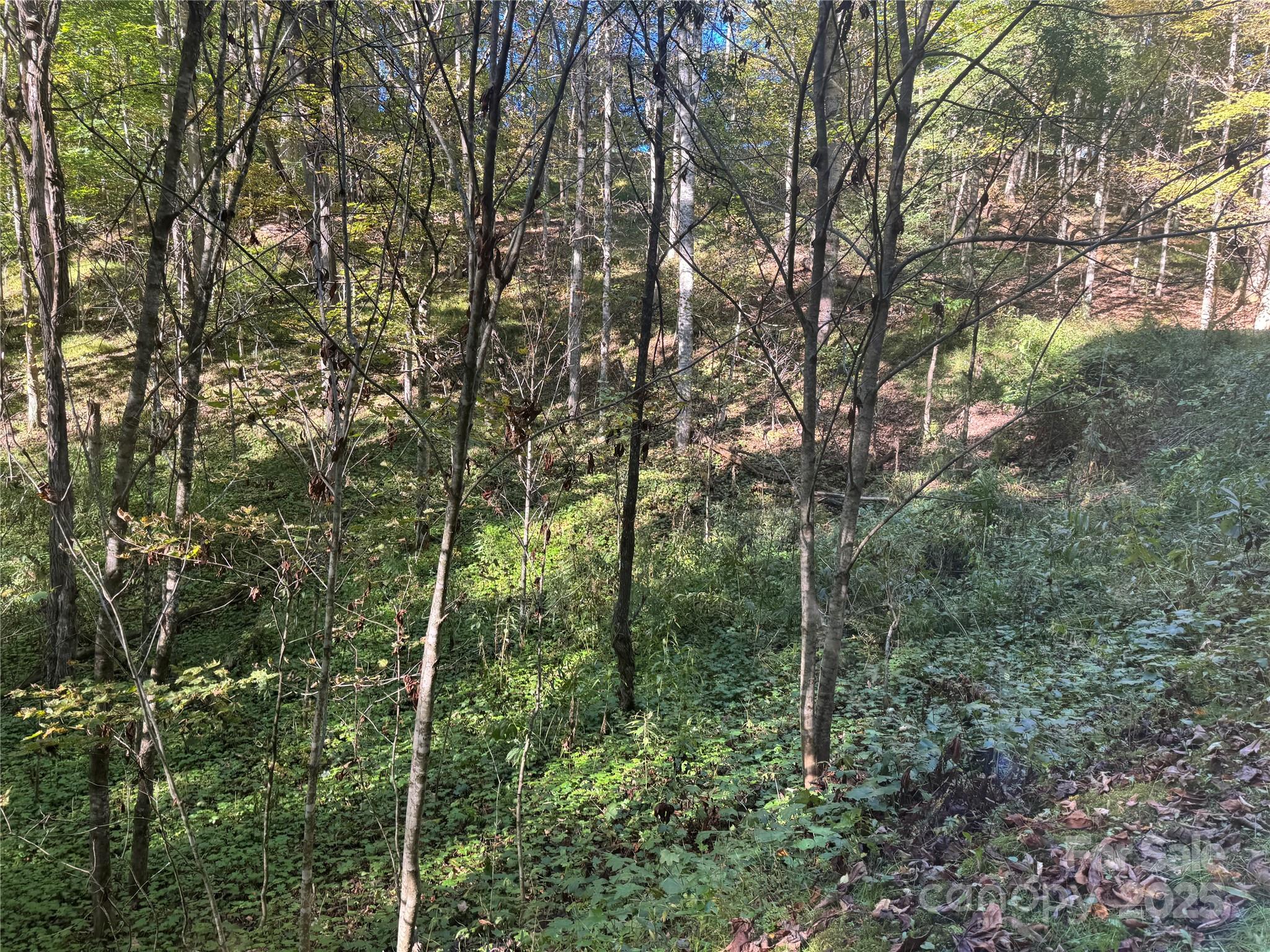 9 Susanna Cove Road Mars Hill, NC 28754 - Photo 4 of 15