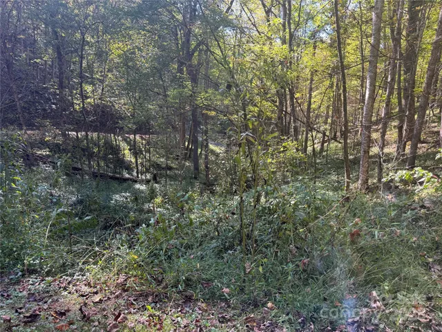 $99,000 | 9 Susanna Cove Road, Mars Hill, NC 28754