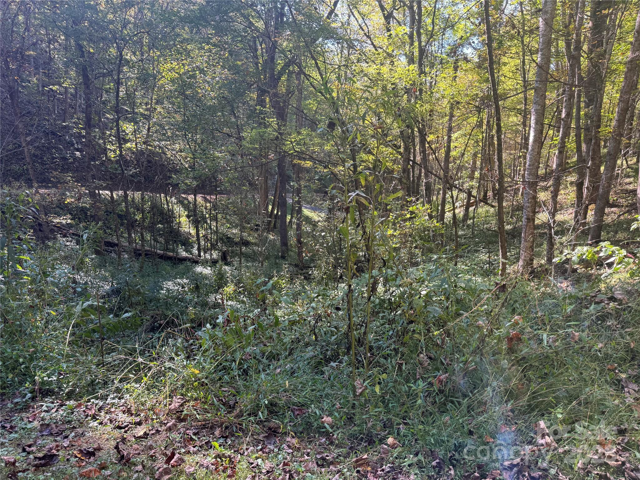 9 Susanna Cove Road Mars Hill, NC 28754 - Photo 5 of 15