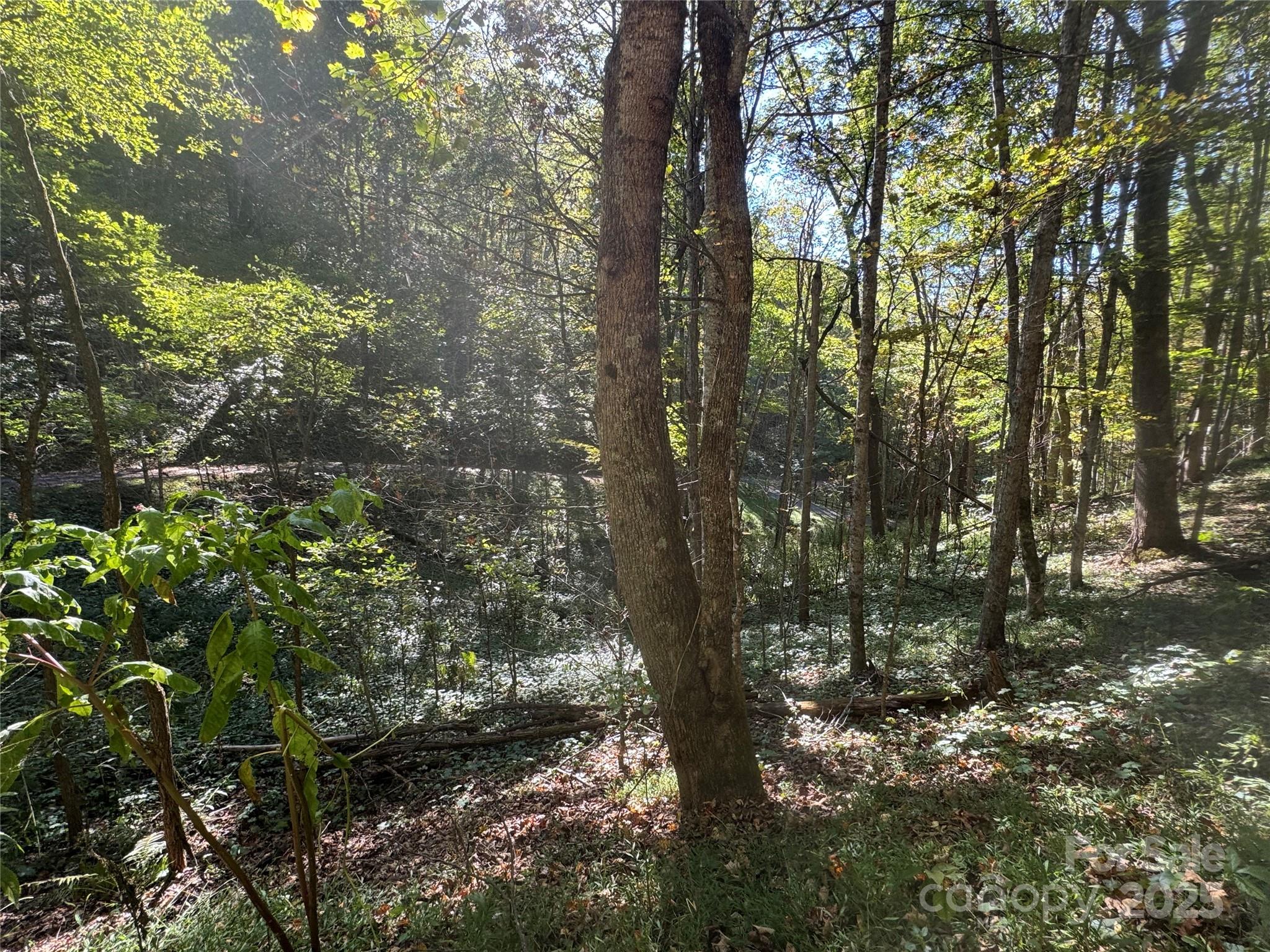 9 Susanna Cove Road Mars Hill, NC 28754 - Photo 6 of 15