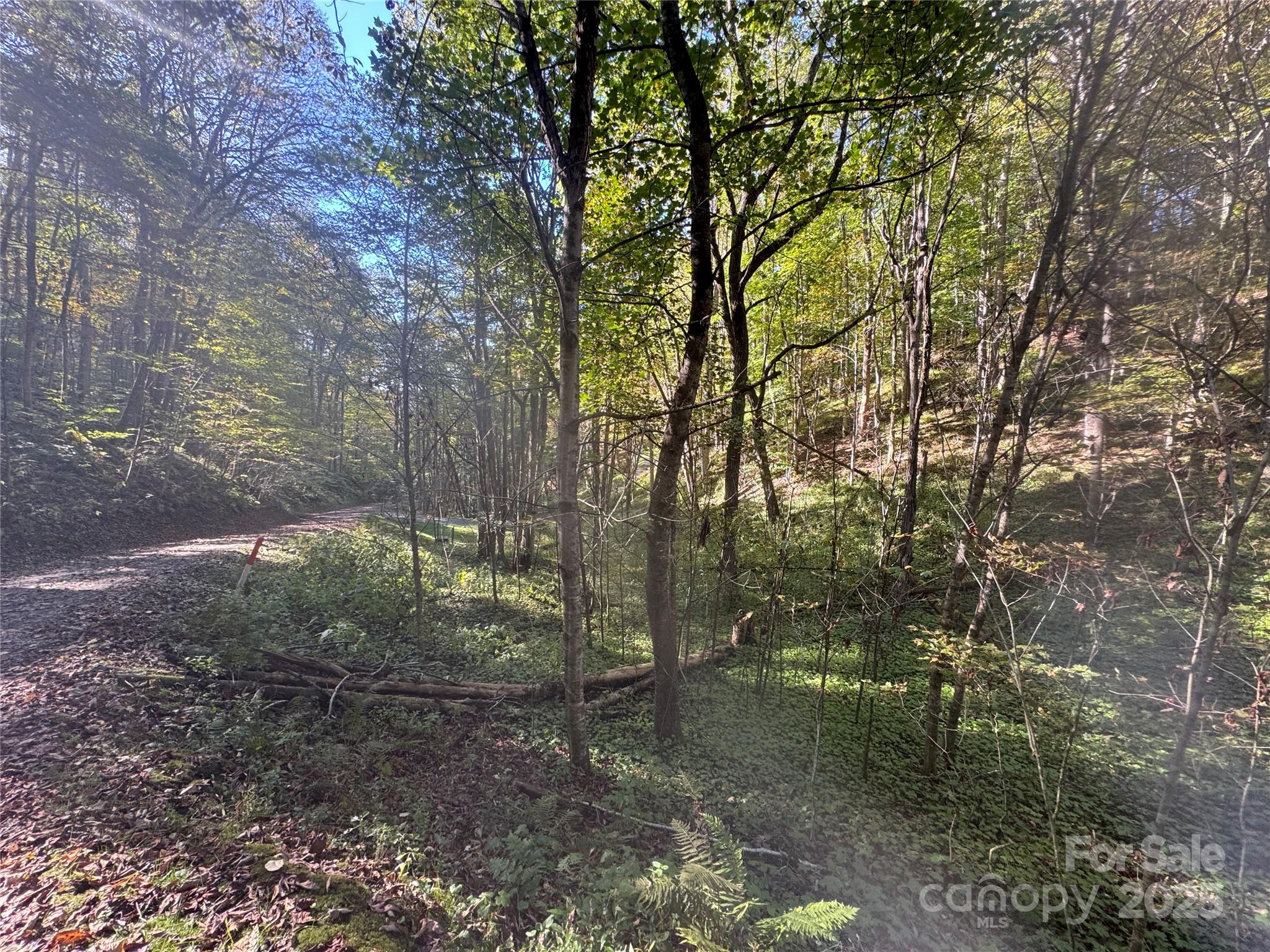 9 Susanna Cove Road Mars Hill, NC 28754 - Photo 7 of 15