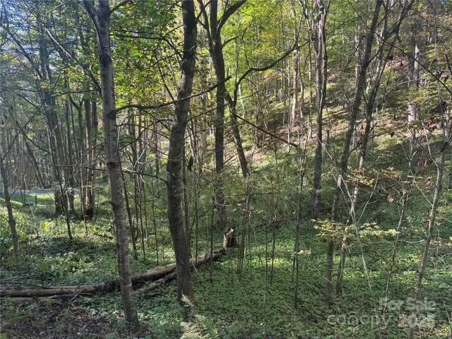 $99,000 | 9 Susanna Cove Road, Mars Hill, NC 28754