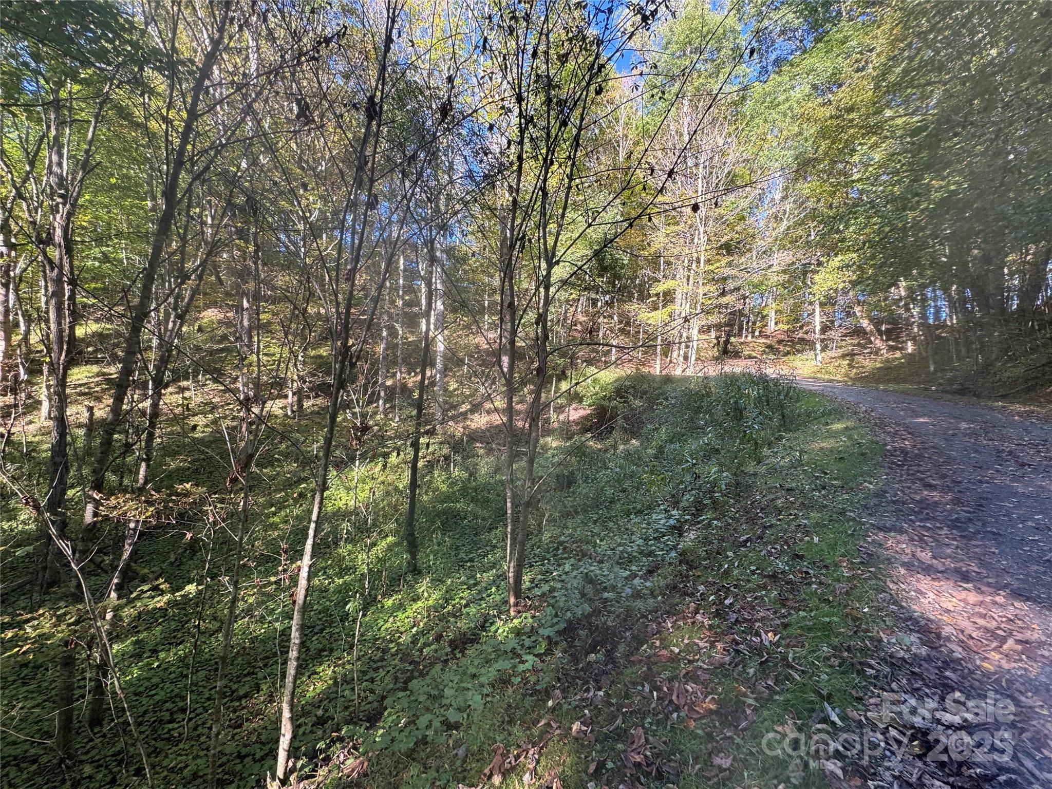 9 Susanna Cove Road Mars Hill, NC 28754 - Photo 9 of 15