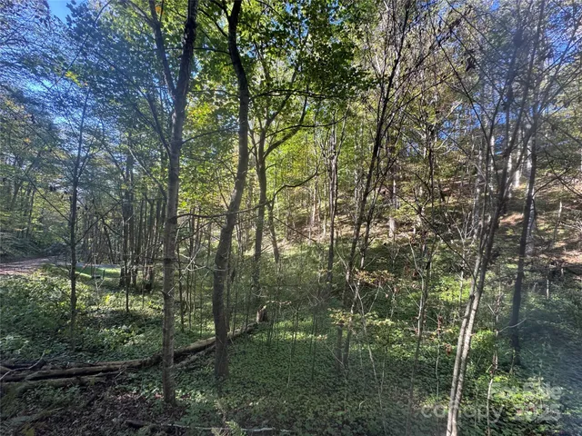 $99,000 | 9 Susanna Cove Road, Mars Hill, NC 28754