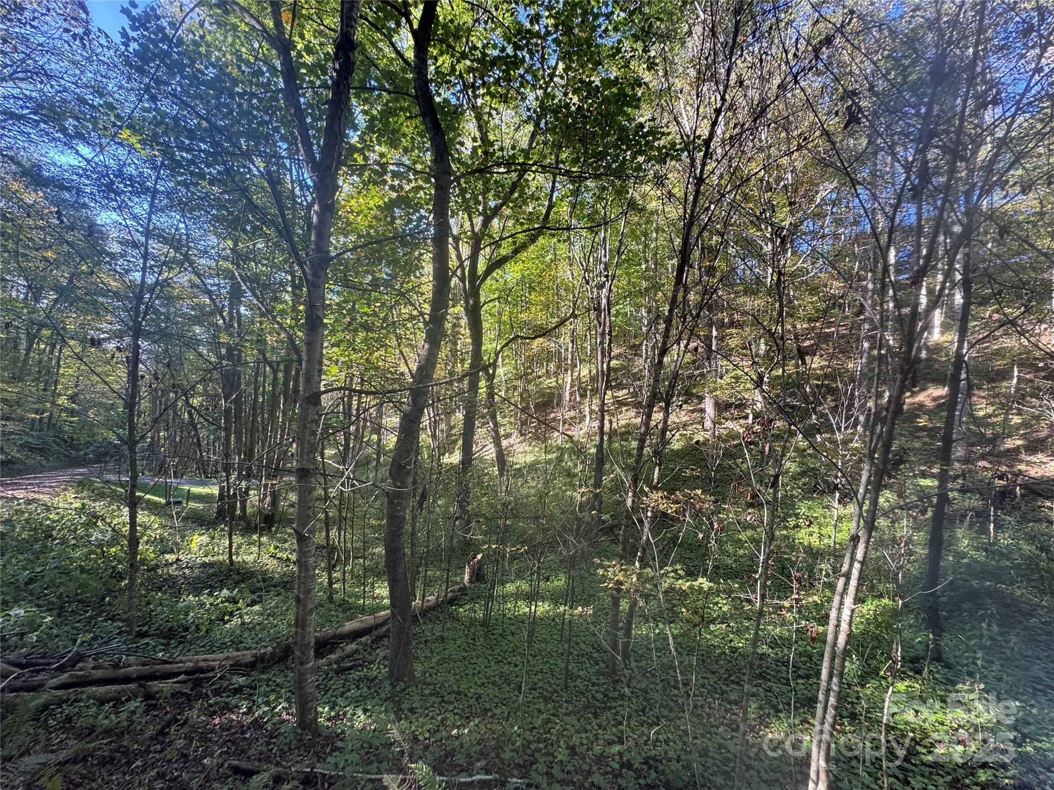 9 Susanna Cove Road Mars Hill, NC 28754 - Photo 10 of 15