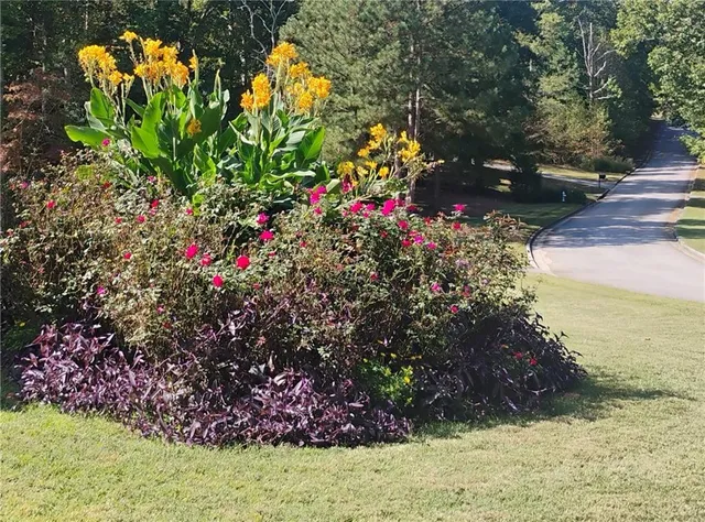 a view of swimming pool with a yard